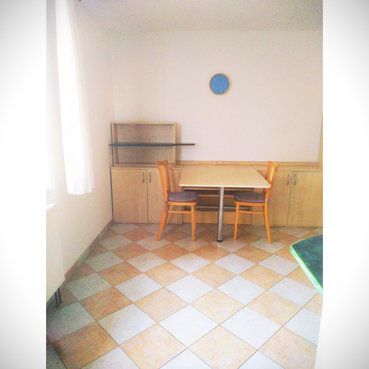 Pronájem bytu 1+kk, Máchova, Plzeň, 12000,- Kč/měs, 36 m2