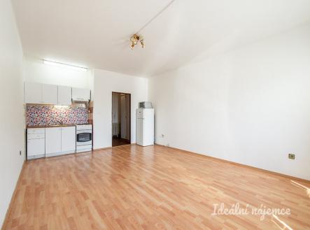 Pronájem bytu, 1+kk, 45 m²