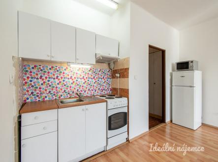 Pronájem bytu, 1+kk, 45 m²