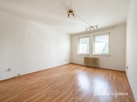 Pronájem bytu, 1+kk, 45 m²