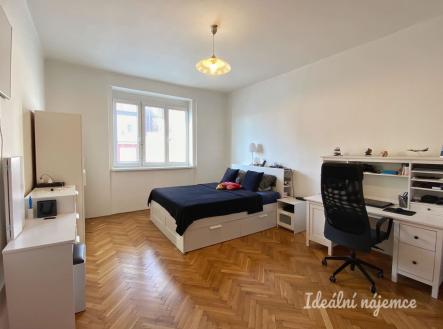 Pronájem bytu, 1+1, 52 m² obrázek