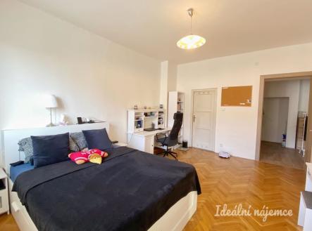 Pronájem bytu, 1+1, 52 m²