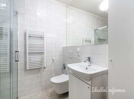 Pronájem bytu, 2+1, 55 m²