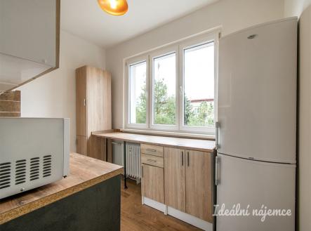 Pronájem bytu, 2+1, 54 m²