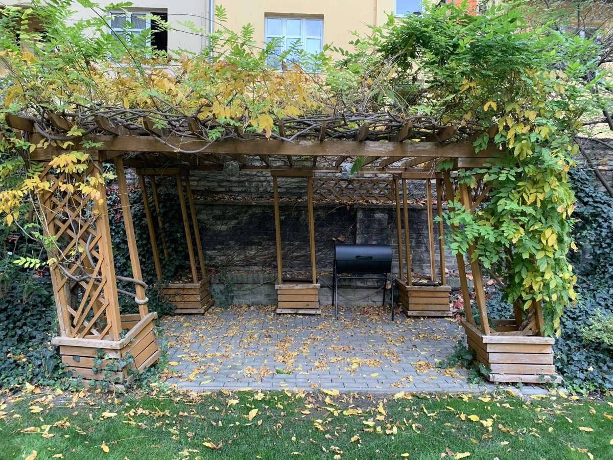 Fotku se nepodařilo načíst.