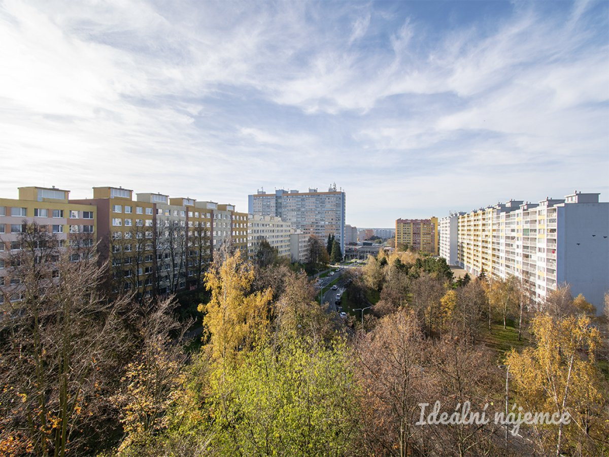 Fotku se nepodařilo načíst.