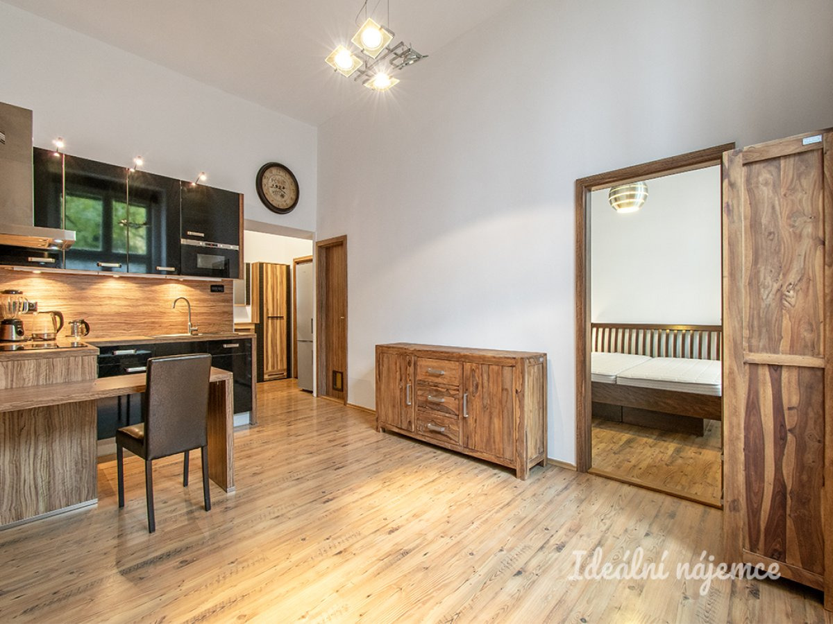 Pronájem bytu 2+kk, Přemyslovská, Žižkov, 25000 Kč/měs, 46 m2