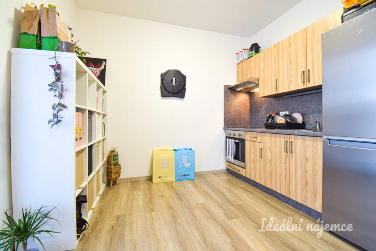 Pronájem bytu 1+kk, Svitavská, Husovice, 29 m2