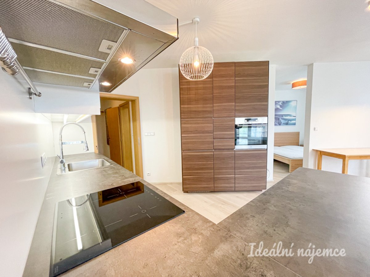 Pronájem bytu 1+kk, Božetěchova, Královo Pole, 17 500 Kč/měs, 61 m2