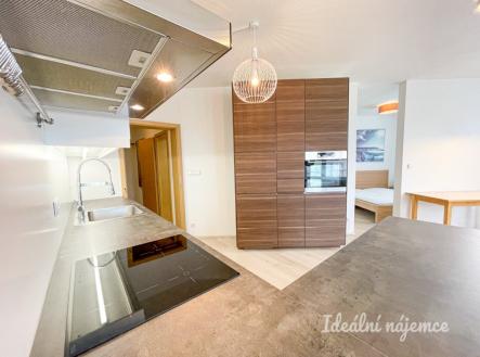 Pronájem bytu, 1+kk, 61 m²