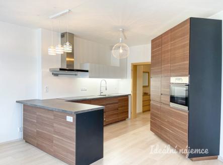 Pronájem bytu, 1+kk, 61 m²