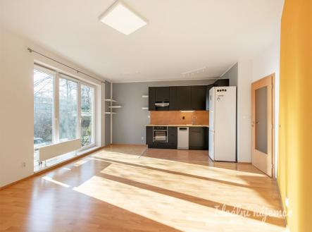 Pronájem bytu, 2+kk, 58 m²