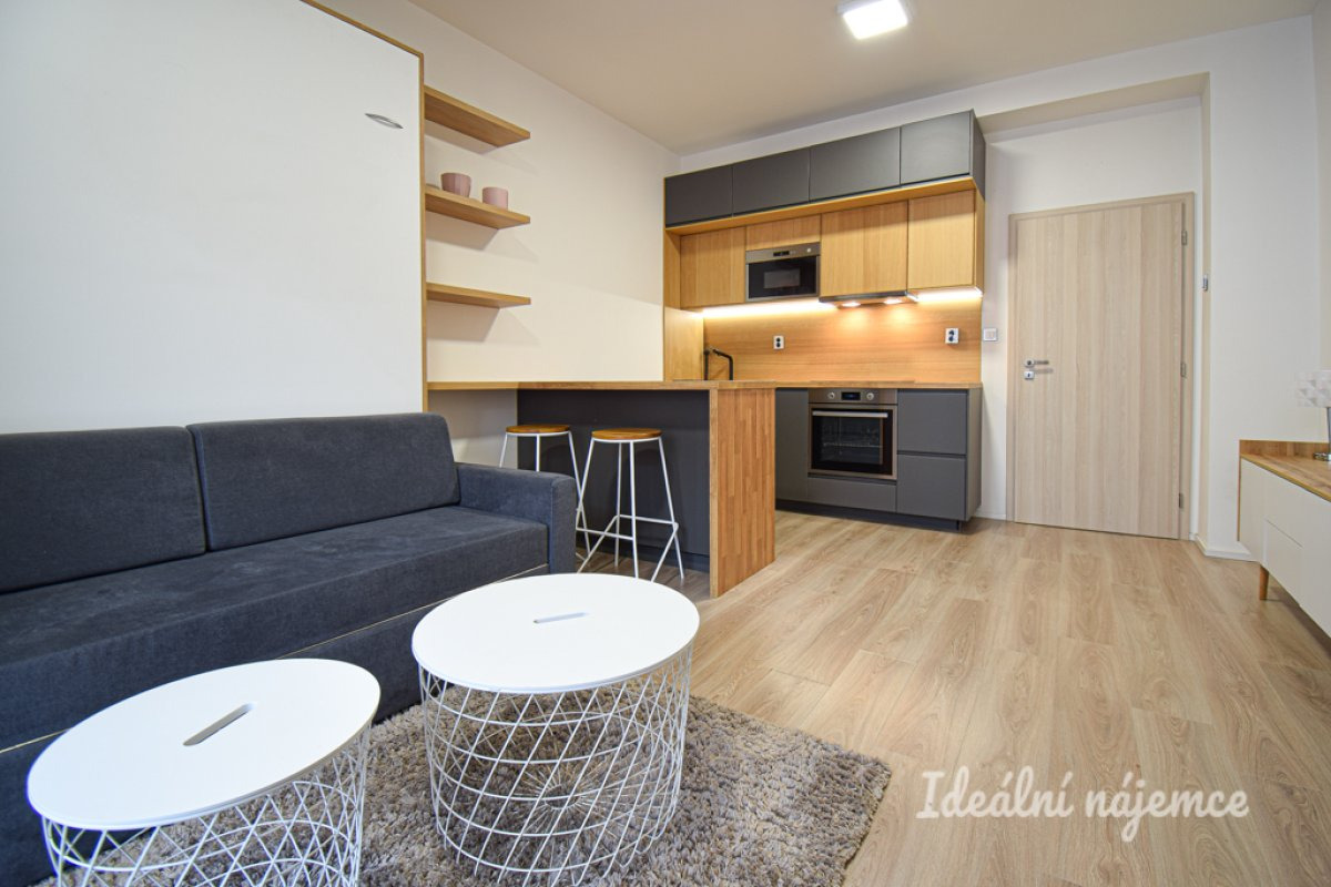 Pronájem bytu 1+kk, Přadlácká, Zábrdovice, 28 m2
