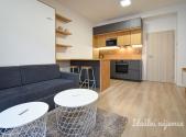 Pronájem bytu, 1+kk, 28 m²