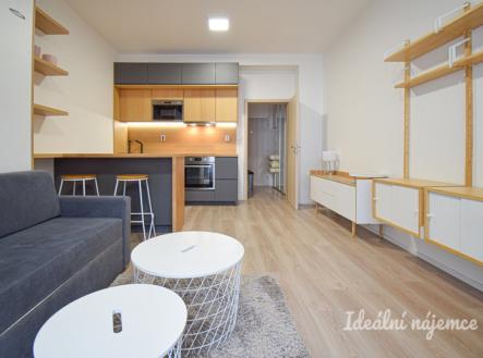 Pronájem bytu, 1+kk, 28 m²