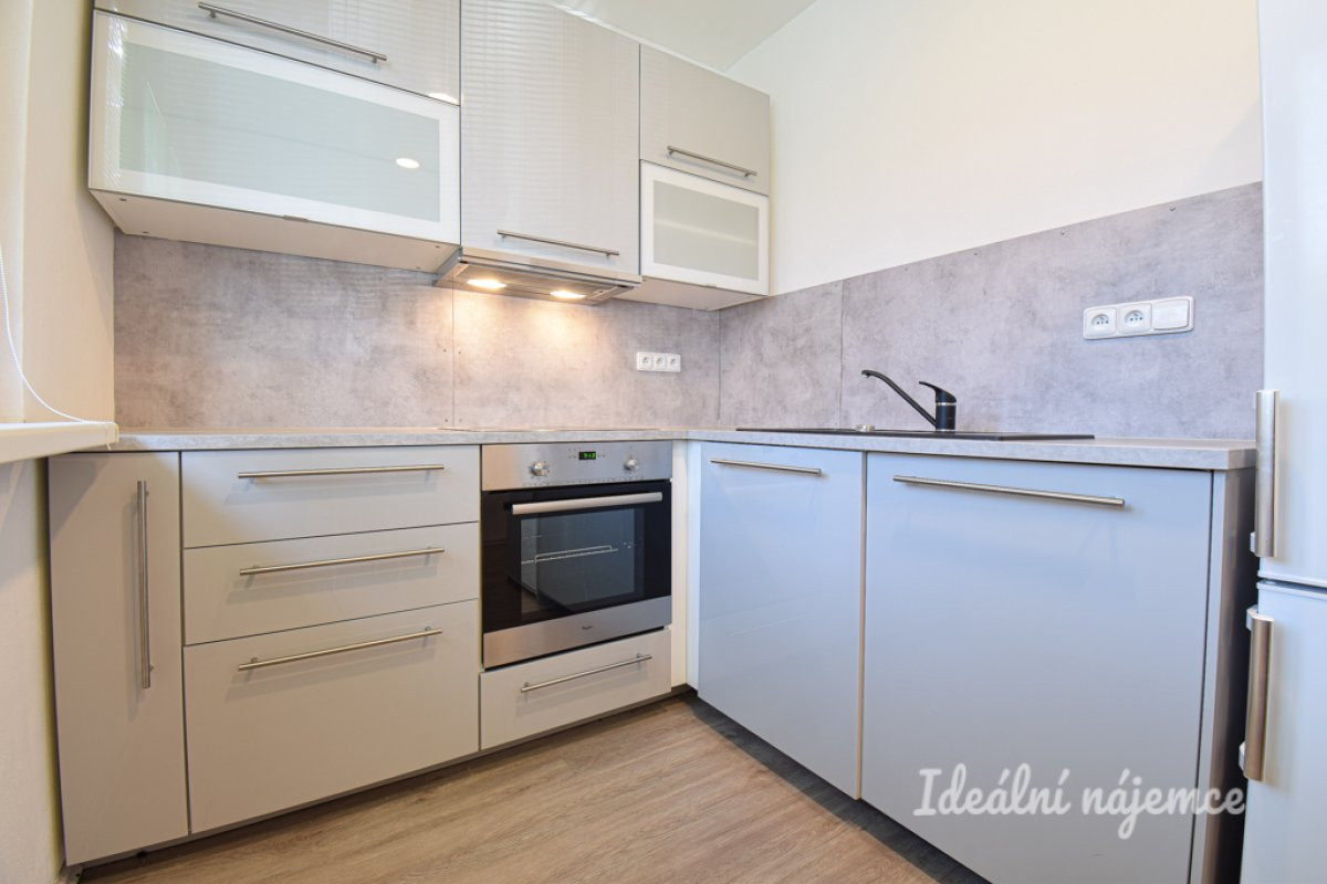 Pronájem bytu 1+1, 16 500 Vídeňská, Štýřice, 40 m2