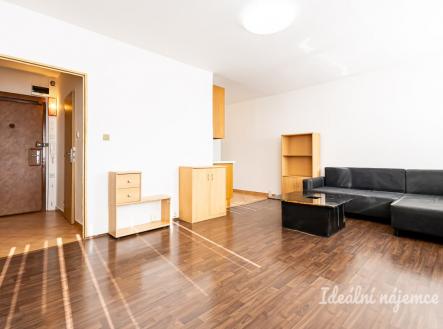 Pronájem bytu, 1+kk, 33 m²
