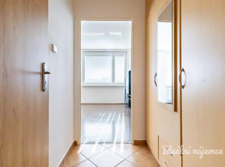 Pronájem bytu, 1+kk, 33 m²
