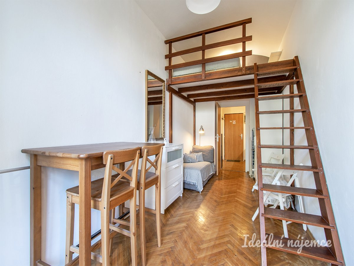 Pronájem bytu 1+1, Seifertova, Žižkov, 16000 Kč/měs, 18 m2