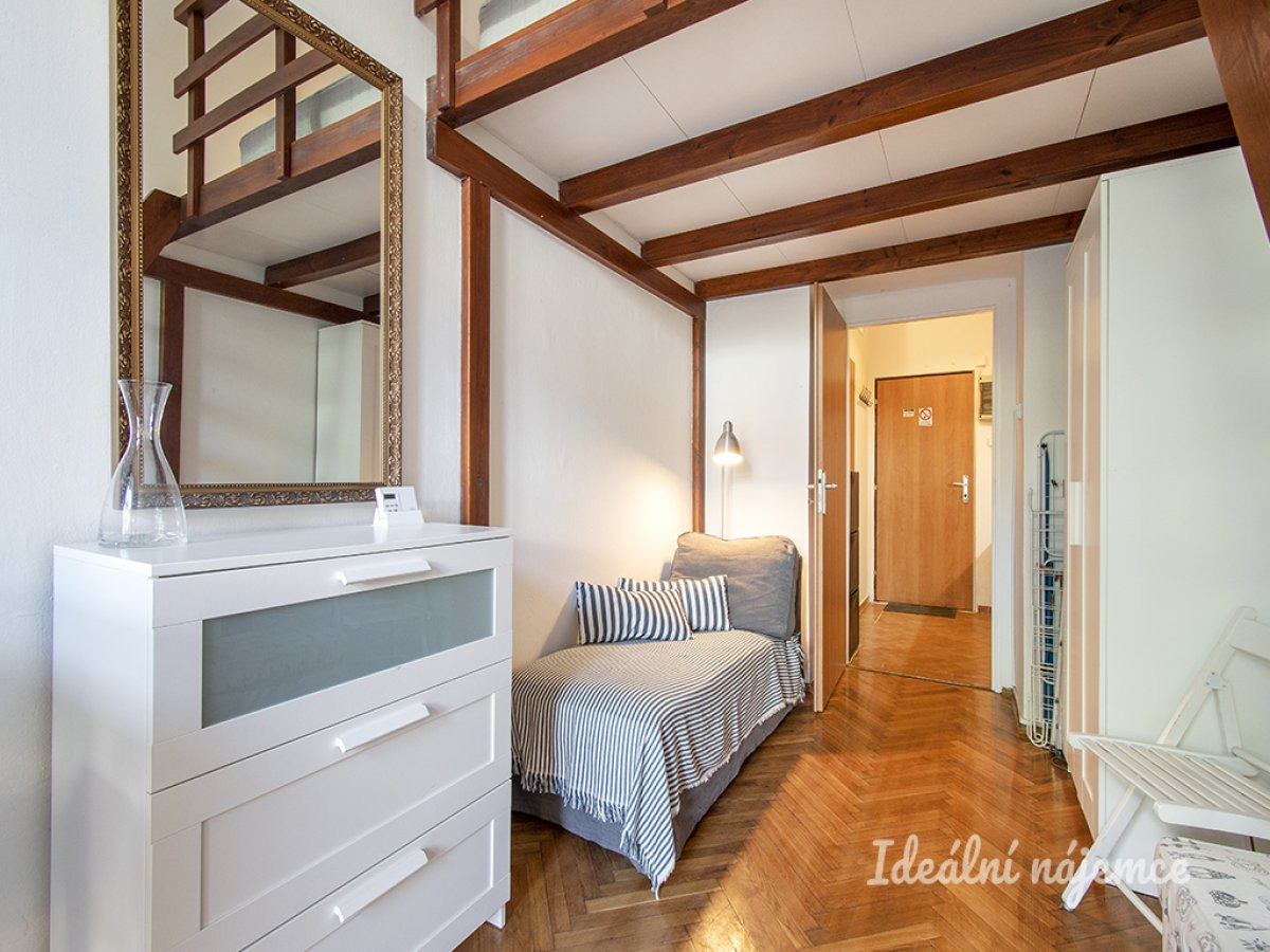 Pronájem bytu 1+1, Seifertova, Žižkov, 16000 Kč/měs, 18 m2