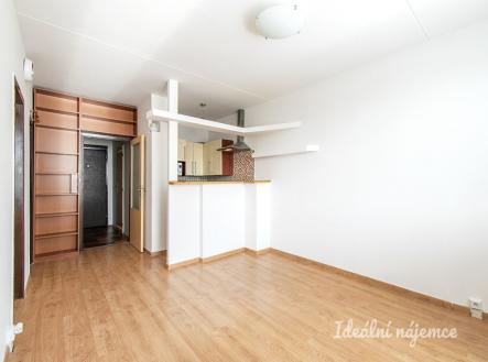 Pronájem bytu, 2+kk, 41 m²