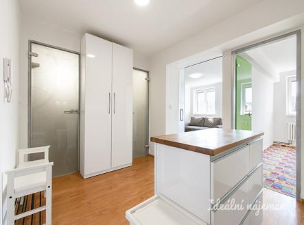 Pronájem bytu, 2+1, 49 m²