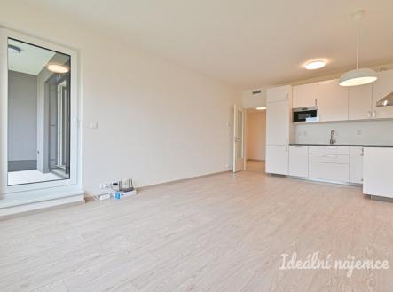 Pronájem bytu, 2+kk, 59 m²