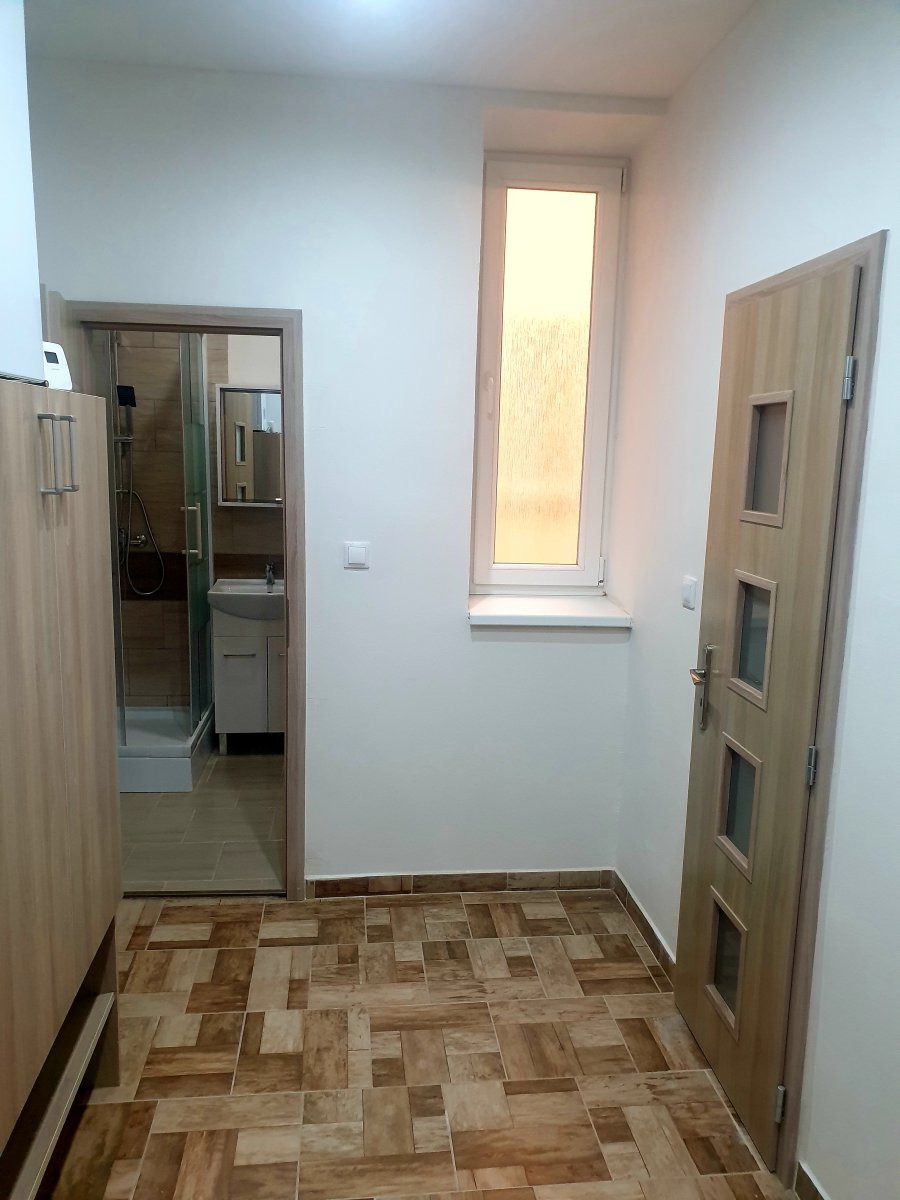 Pronájem bytu 2+kk, Vrchlického, Plzeň,  15600 Kč/měs, 54 m2