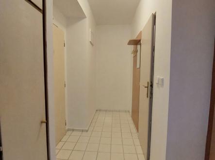 Pronájem bytu, 1+1, 41 m²