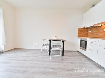 Pronájem bytu, 1+kk, 41 m²