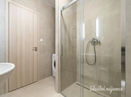 Pronájem bytu, 1+kk, 38 m²