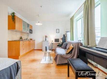 Pronájem bytu, 1+kk, 33 m²