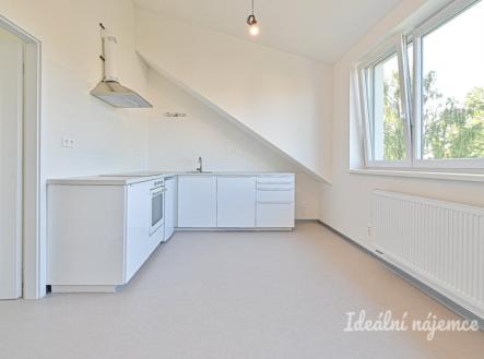 Pronájem bytu, 2+kk, 41 m²