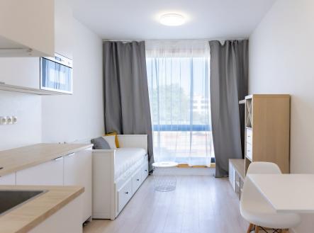 Pronájem bytu, 1+kk, 18 m² obrázek