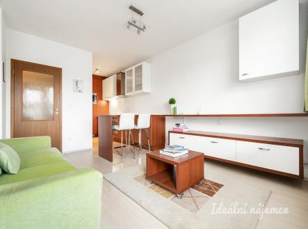 Pronájem bytu, 1+1, 47 m²