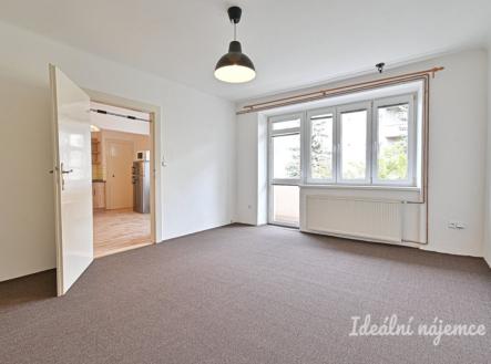 Pronájem bytu, 2+1, 55 m²