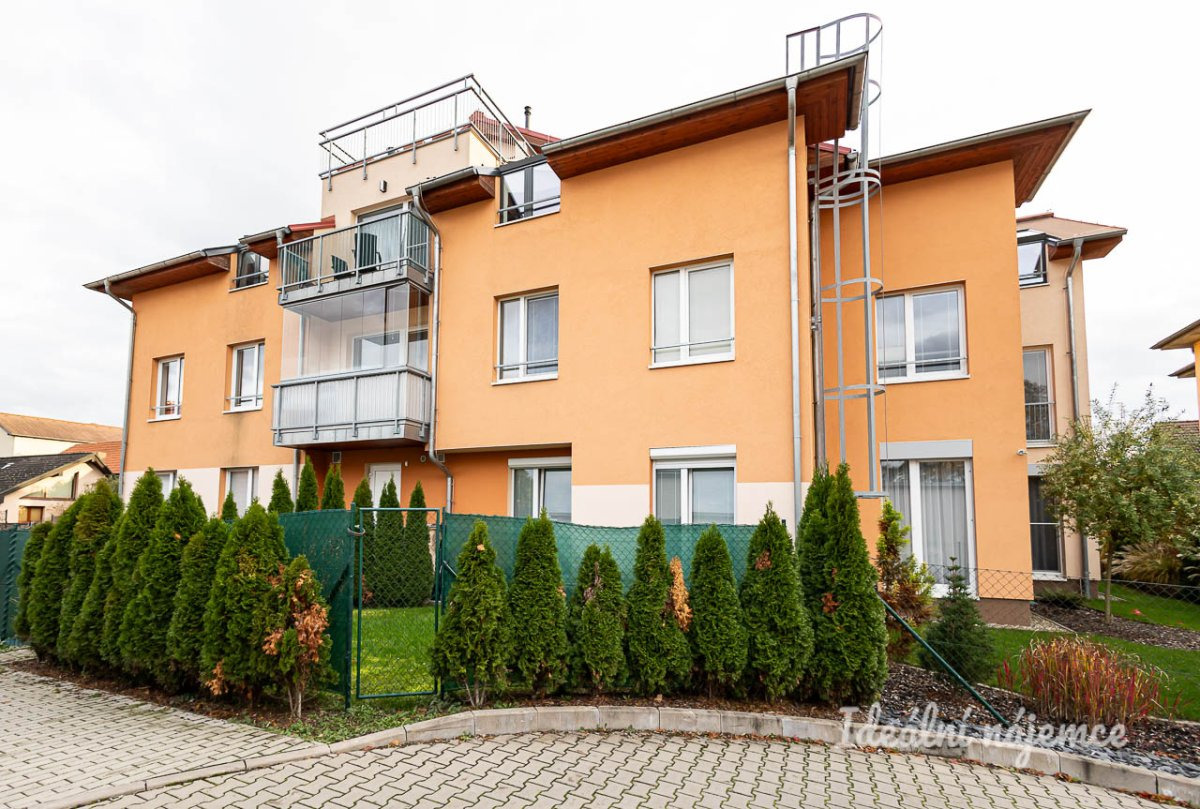 Fotku se nepodařilo načíst.