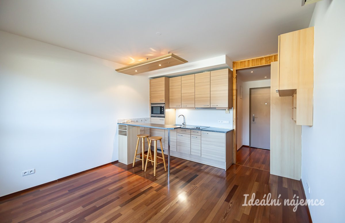 Pronájem bytu 1+kk, Podnádražní, Vysočany, 15900 Kč/měs, 22 m2