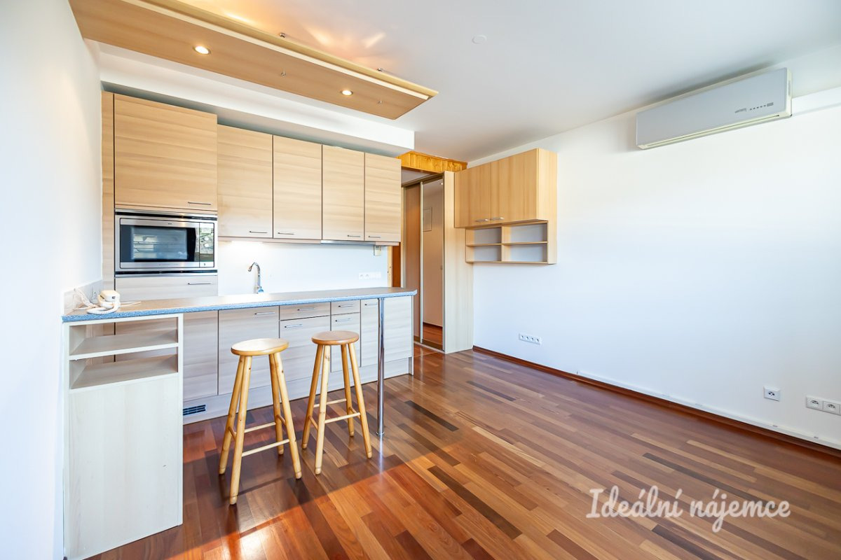 Pronájem bytu 1+kk, Podnádražní, Vysočany, 15900 Kč/měs, 22 m2
