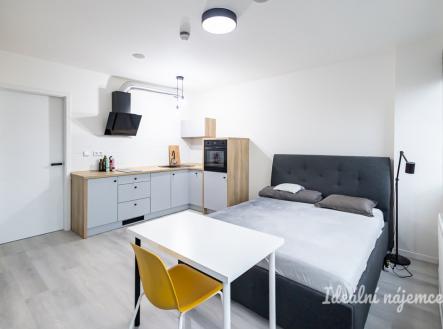 Pronájem bytu, 1+kk, 25 m²