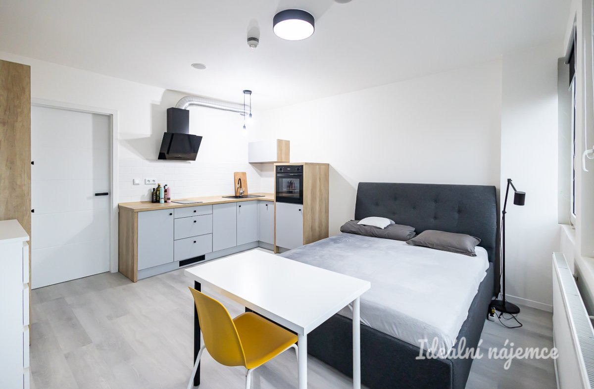 Pronájem ateliéru 1+kk, Perucká, Vinohrady, 16500 Kč/měs, 25 m2