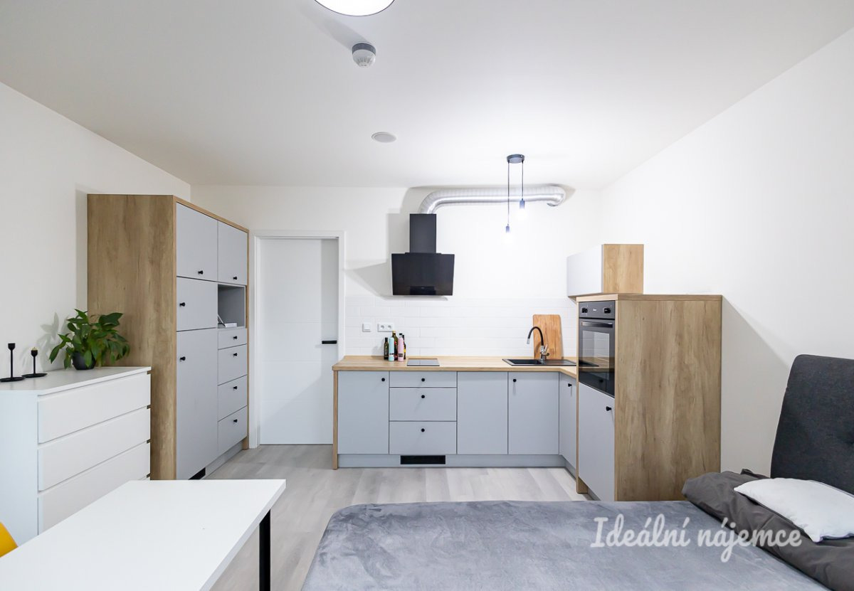 Pronájem ateliéru 1+kk, Perucká, Vinohrady, 16500 Kč/měs, 25 m2