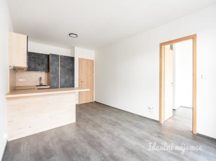 Pronájem bytu, 2+kk, 49 m²