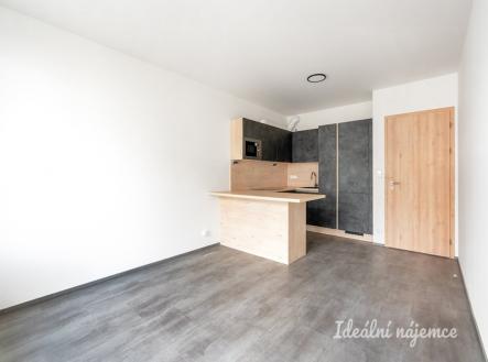 Pronájem bytu, 2+kk, 49 m²