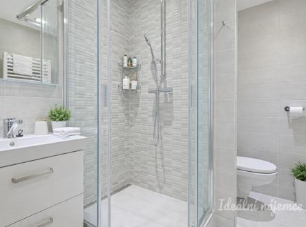 Pronájem bytu, 2+kk, 42 m²