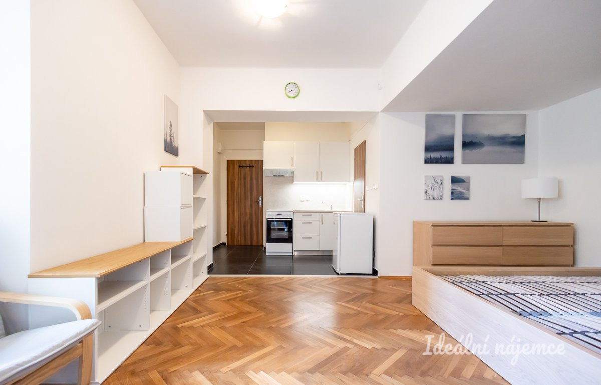 Pronájem bytu 1+kk, Sokolovská 17.900,- , Karlín, 31 m2