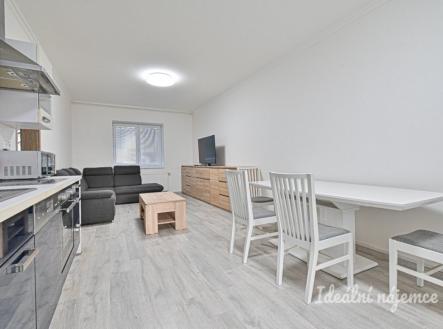 Pronájem bytu, 2+kk, 53 m²