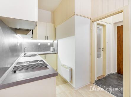 Pronájem bytu, 1+1, 43 m²