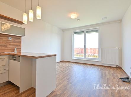 Pronájem bytu, 2+kk, 53 m²