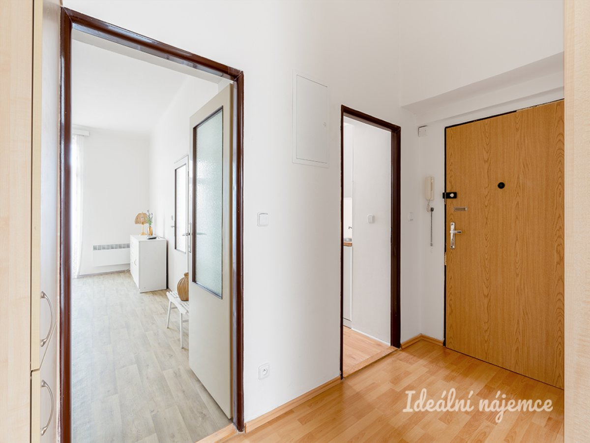 Fotku se nepodařilo načíst.